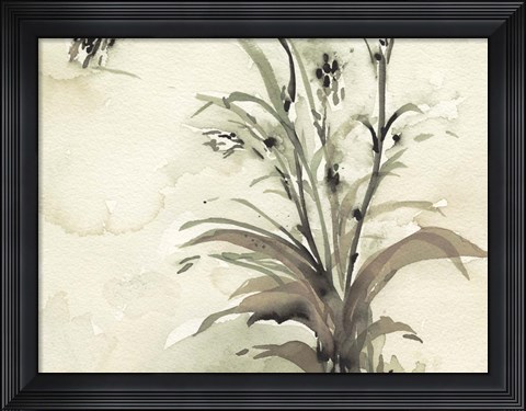 Framed Plant of the Age I Print