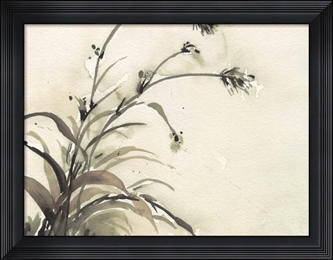 Framed Plant of the Age II Print