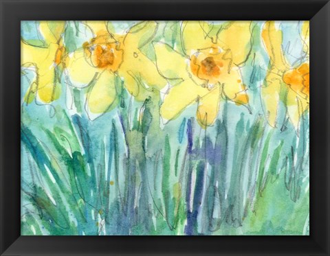 Framed Daffodil Blooms I Print