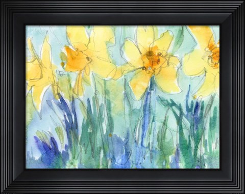 Framed Daffodil Blooms II Print