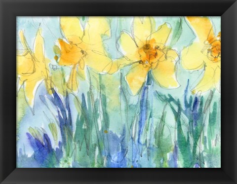 Framed Daffodil Blooms II Print