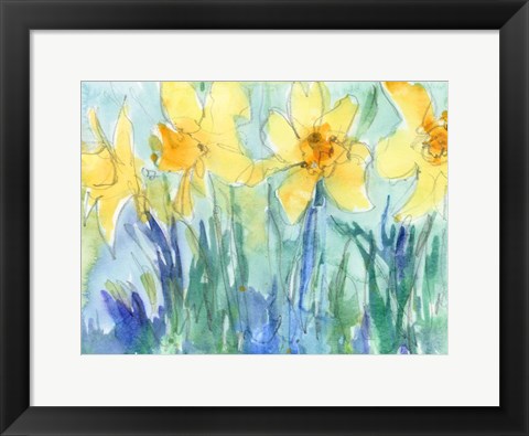 Framed Daffodil Blooms II Print