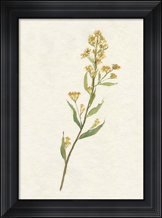 Framed Delicate Yellow I Print