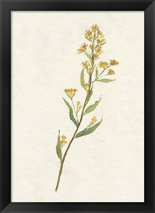 Framed Delicate Yellow I Print