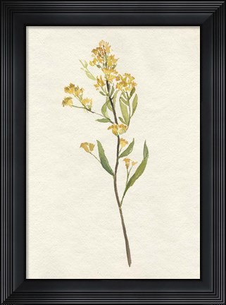 Framed Delicate Yellow II Print