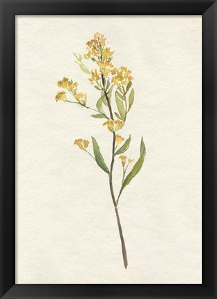 Framed Delicate Yellow II Print