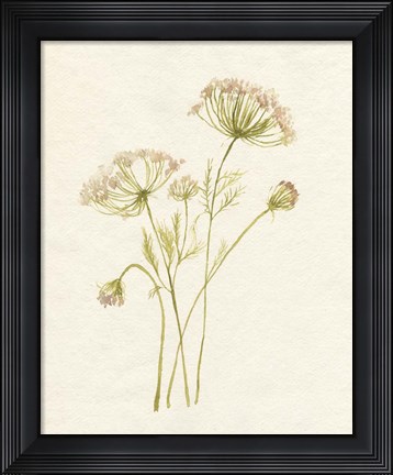 Framed Blush Lace I Print