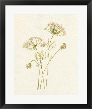 Framed Blush Lace I Print