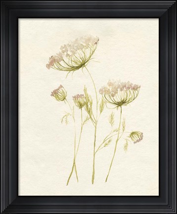 Framed Blush Lace II Print