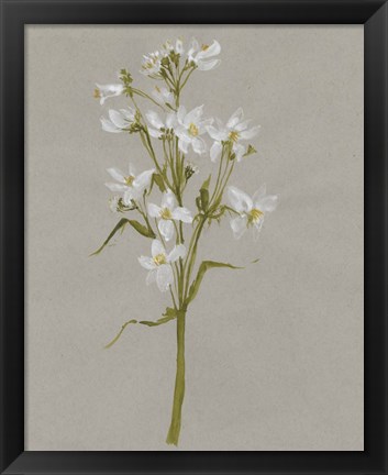 Framed White Field Flowers I Print