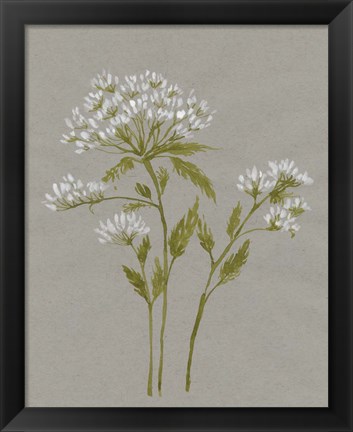 Framed White Field Flowers IV Print