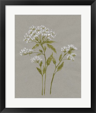 Framed White Field Flowers IV Print