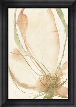 Framed Petal Sketches I Print