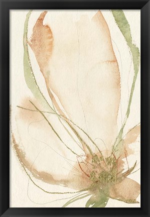 Framed Petal Sketches I Print