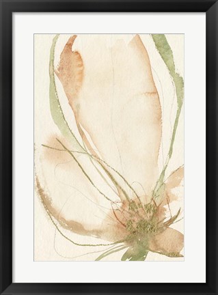 Framed Petal Sketches I Print