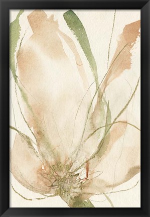 Framed Petal Sketches II Print