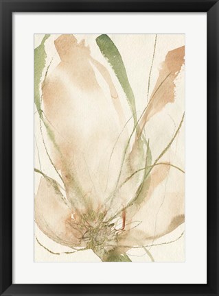 Framed Petal Sketches II Print