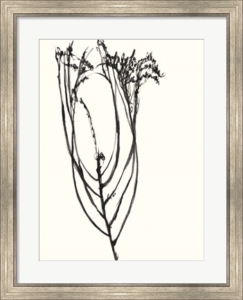 Framed Naive Flower Sketch I Print