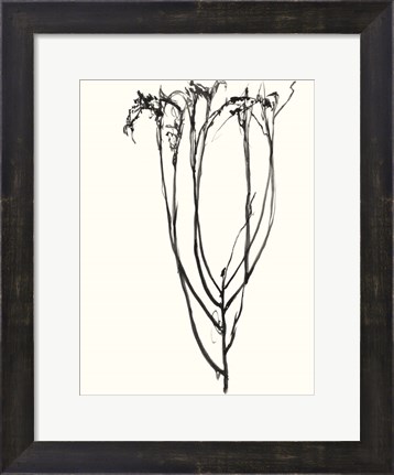 Framed Naive Flower Sketch II Print