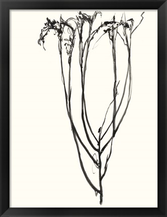 Framed Naive Flower Sketch II Print