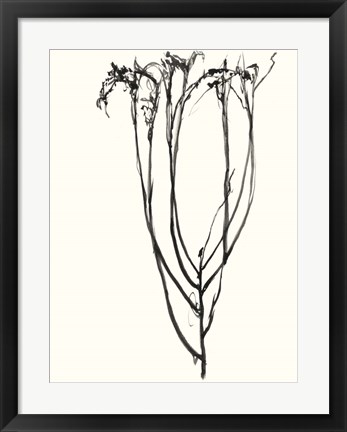 Framed Naive Flower Sketch II Print