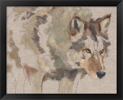 Framed Timber Wolf I Print