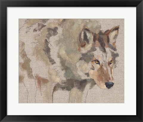 Framed Timber Wolf I Print