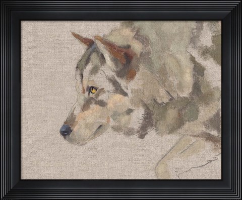 Framed Timber Wolf II Print