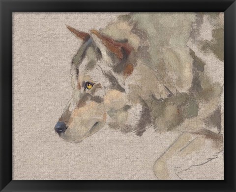 Framed Timber Wolf II Print