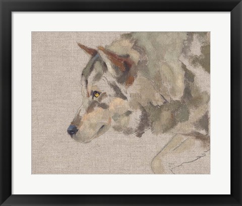 Framed Timber Wolf II Print