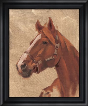 Framed Thoroughbred I Print