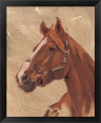 Framed Thoroughbred I Print