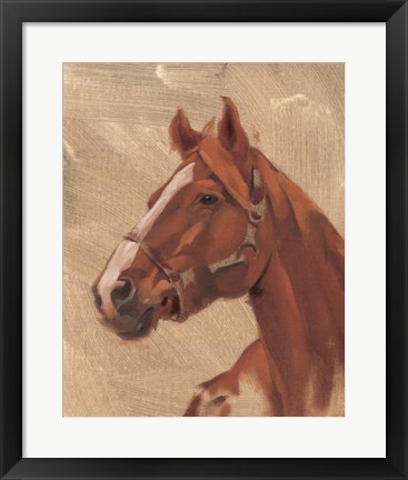 Framed Thoroughbred I Print