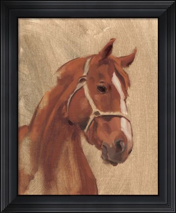 Framed Thoroughbred II Print