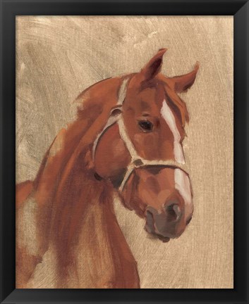 Framed Thoroughbred II Print