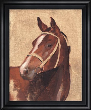 Framed Thoroughbred III Print