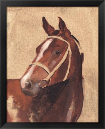 Framed Thoroughbred III Print