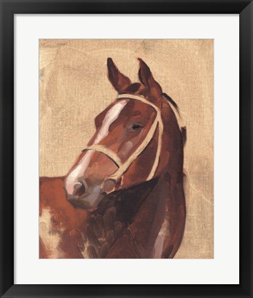 Framed Thoroughbred III Print