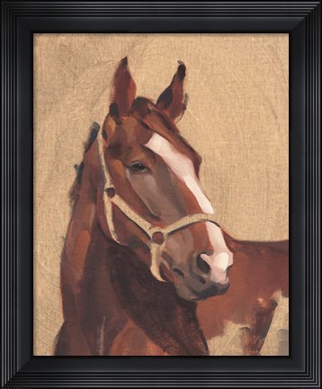 Framed Thoroughbred IV Print