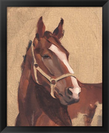 Framed Thoroughbred IV Print