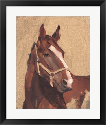 Framed Thoroughbred IV Print