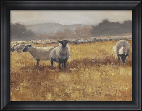 Framed Grazing at Sunset I Print