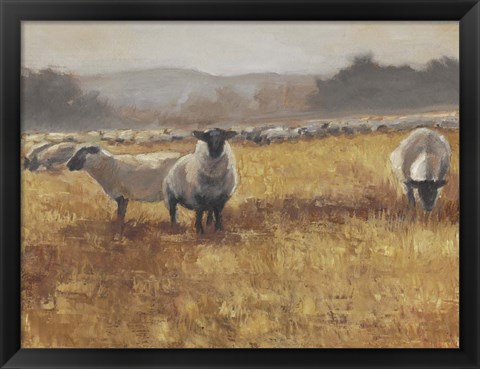 Framed Grazing at Sunset I Print