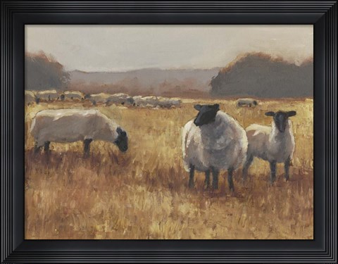 Framed Grazing at Sunset II Print