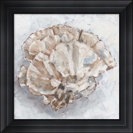 Framed Coral Display III Print