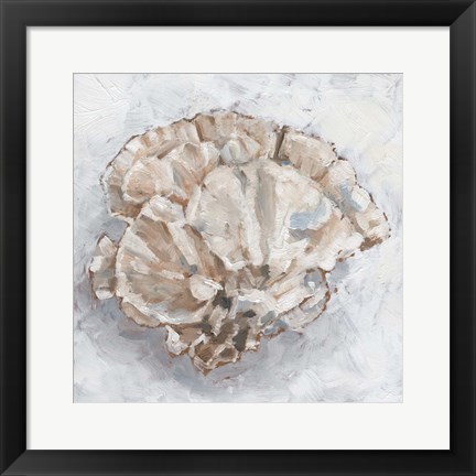 Framed Coral Display III Print