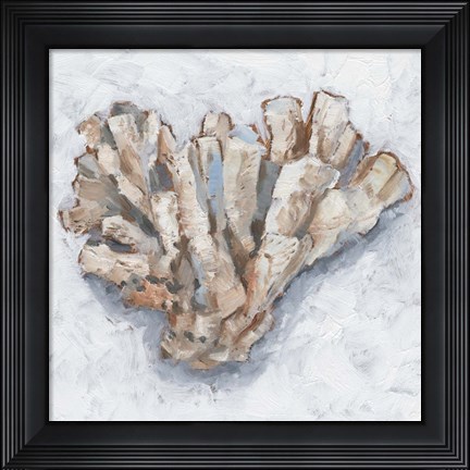 Framed Coral Display IV Print