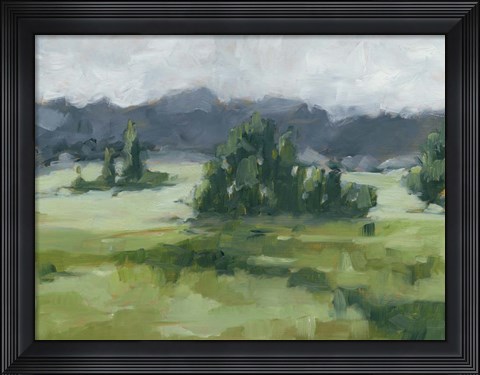 Framed Misty Green Valley II Print