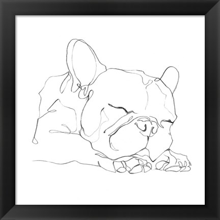 Framed French Bulldog Contour II Print