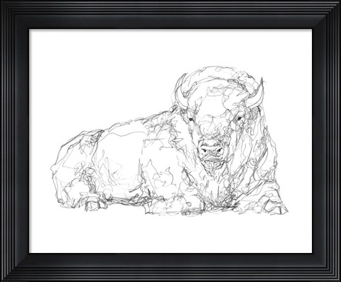 Framed Bison Contour Sketch I Print